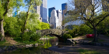 Remiseparken på Amager skal inspirere til klimatilpasning i New York