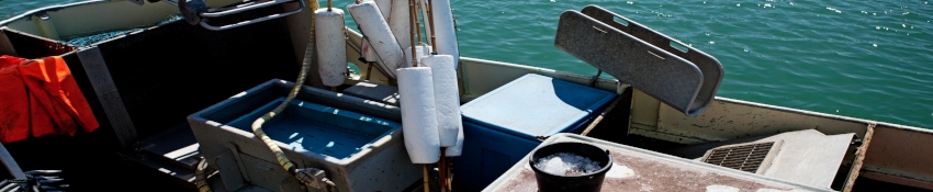 Behov for omrigning af fartøjer og nye former for fiskeriforvaltning