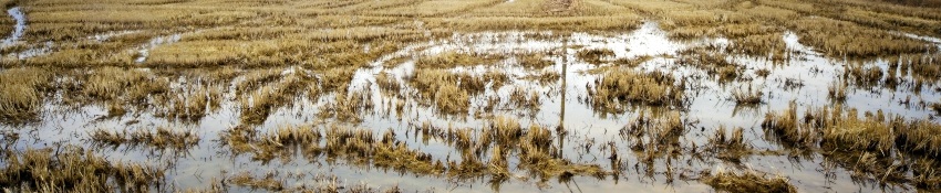 Oversvømmelse er en trussel mod lavtliggende jorder