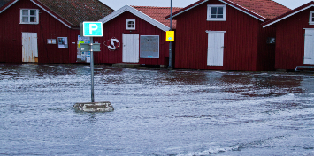 Aalborg kommune fremrykker klimasikring ved Limfjorden pga. coronakrisen