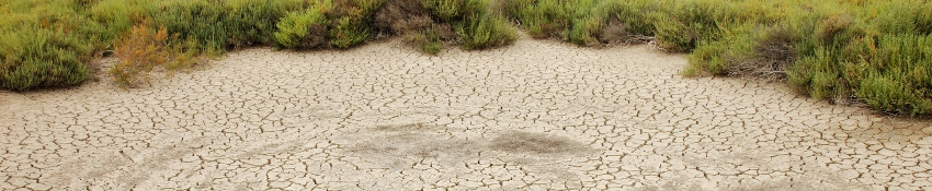 Tørke og klimaforandringer