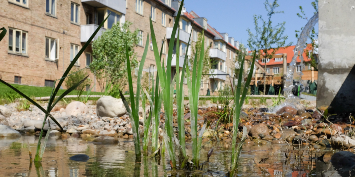 Fremtidens Gårdhave ved Straussvej håndterer og renser selv sit regnvand