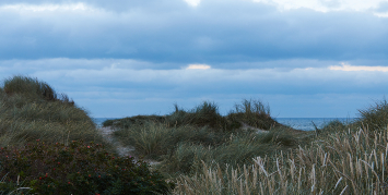 Solrød Strand står overfor en trefoldig kystsikring