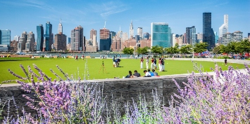 Remiseparken på Amager skal inspirere til klimatilpasning i New York