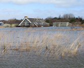 Implementering af EU's  oversvømmelsesdirektiv - Forslag til udpegning af risikoområder i høring