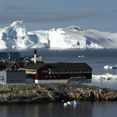 Varmere vand fører flere fiskearter til Grønland